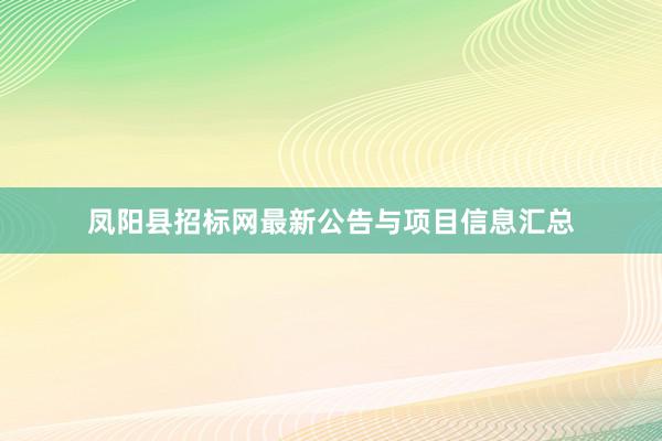 凤阳县招标网最新公告与项目信息汇总